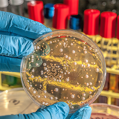 Здоровье и контроль заболеваний