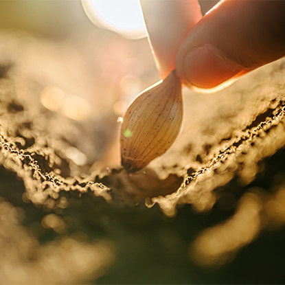 Сельское и лесное хозяйство